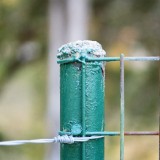 18060020jpg_4974956513_o