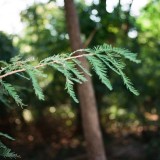 18070002jpg_4975597940_o