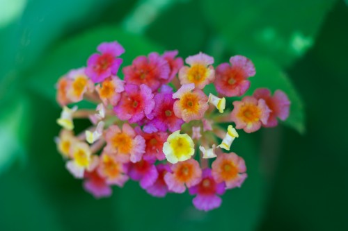 _dsc8990_7149333073_o.jpg