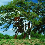 bevo-natorjpg_4519012937_o0e0368f44fadcf9d