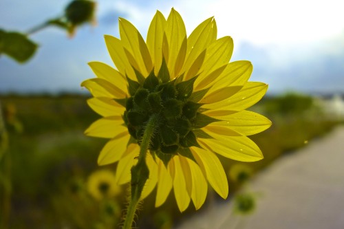 dsc09278_7810733458_o.jpg