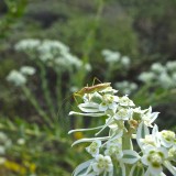 dsc09605_7844919808_o