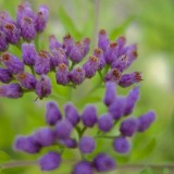 dsc09622_7860392486_o