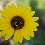 img_0194jpg_9476403558_o