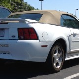 mustang_7734126154_o
