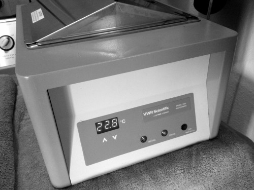 photojpg_8892195426_o.jpg
