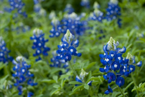 wf3jpg_4491895488_o.jpg