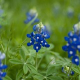 wf5jpg_4491995392_o