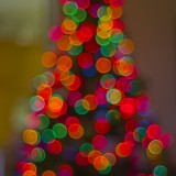 xmastree2jpg_5290261505_o